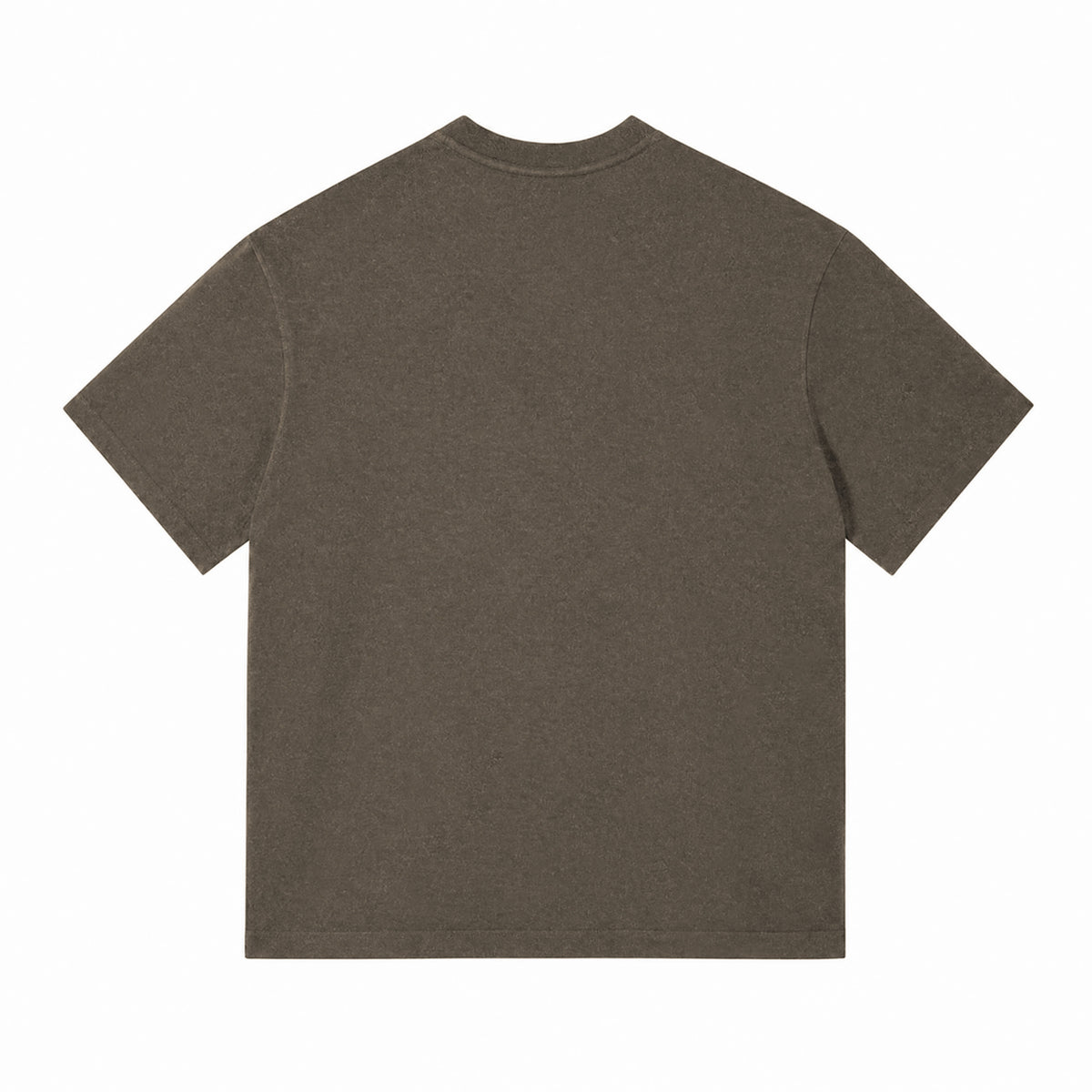 X26011 vintage washed T-shirt in Washed Brown, back view