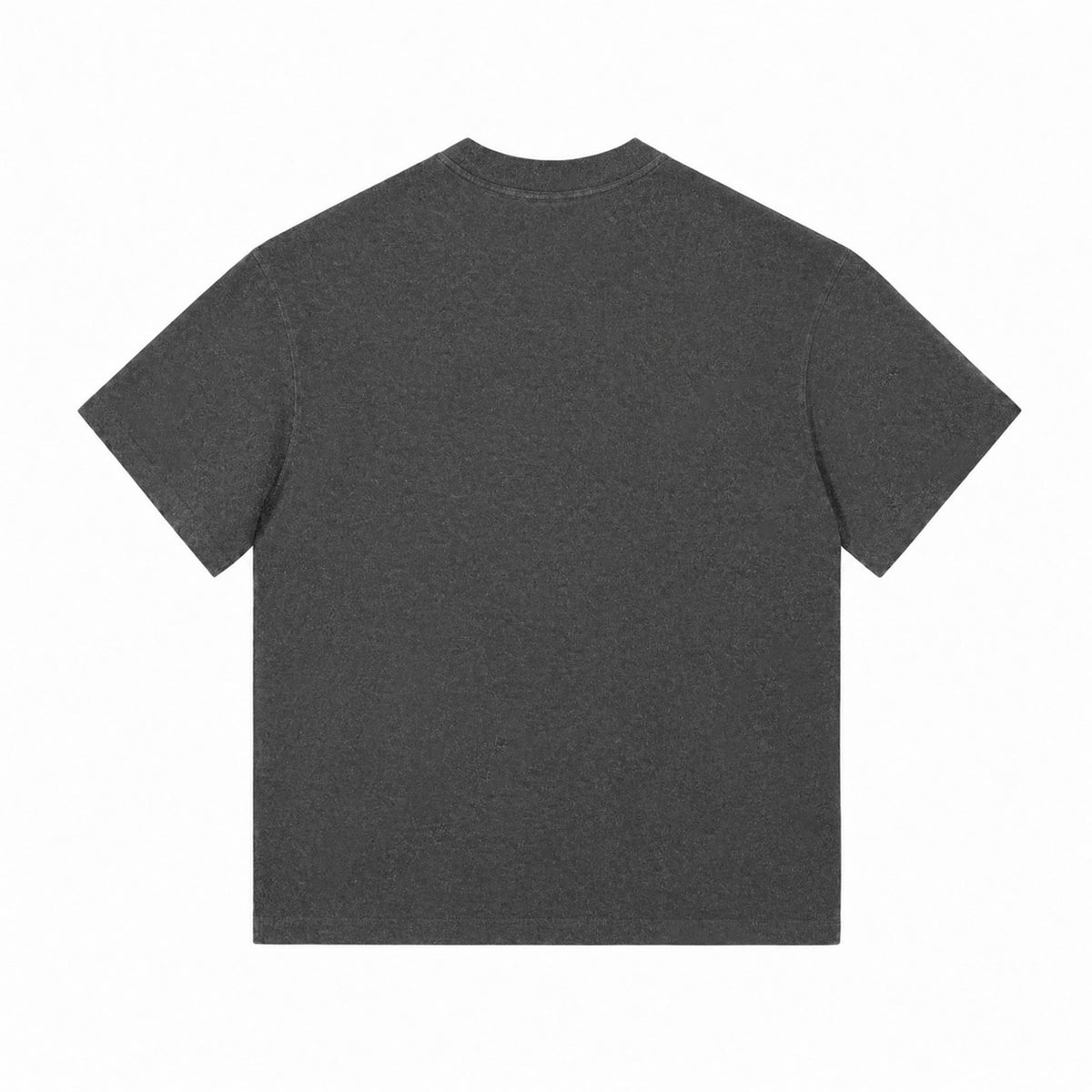 X26011 vintage washed T-shirt in Washed Dark Gray, back view