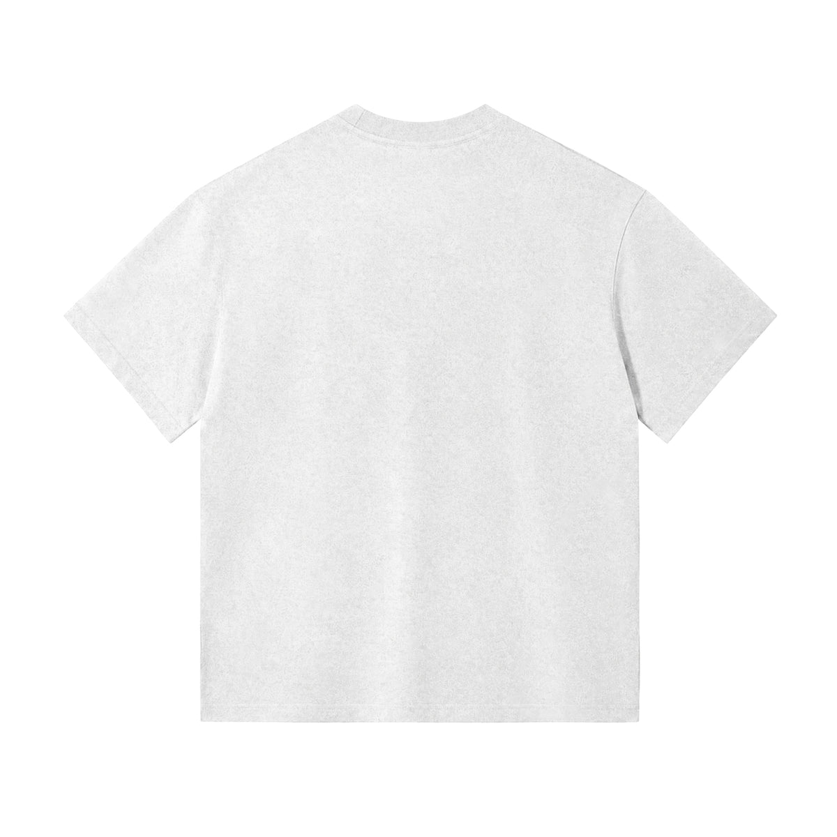 X26011 vintage washed T-shirt in Washed White, back view